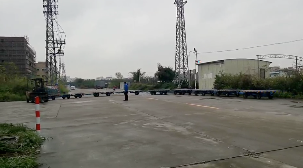 湖南奇异果(中国)组